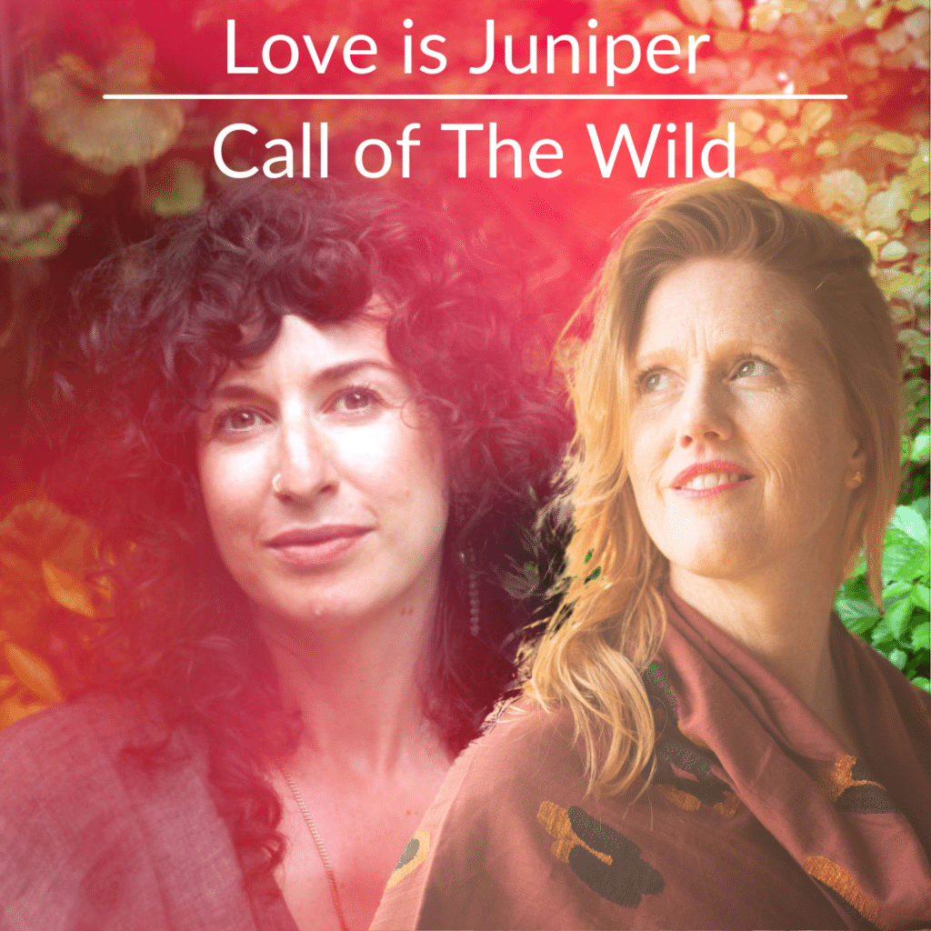 Love is Juniper Call of The Wild