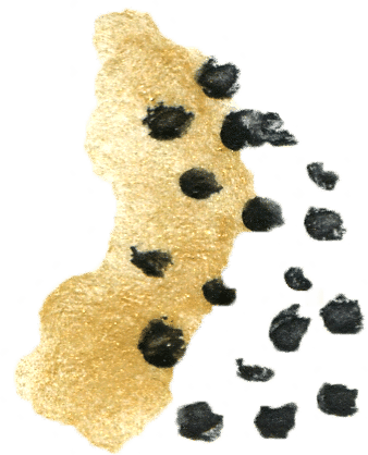 Gold_Black_Spots_02AT